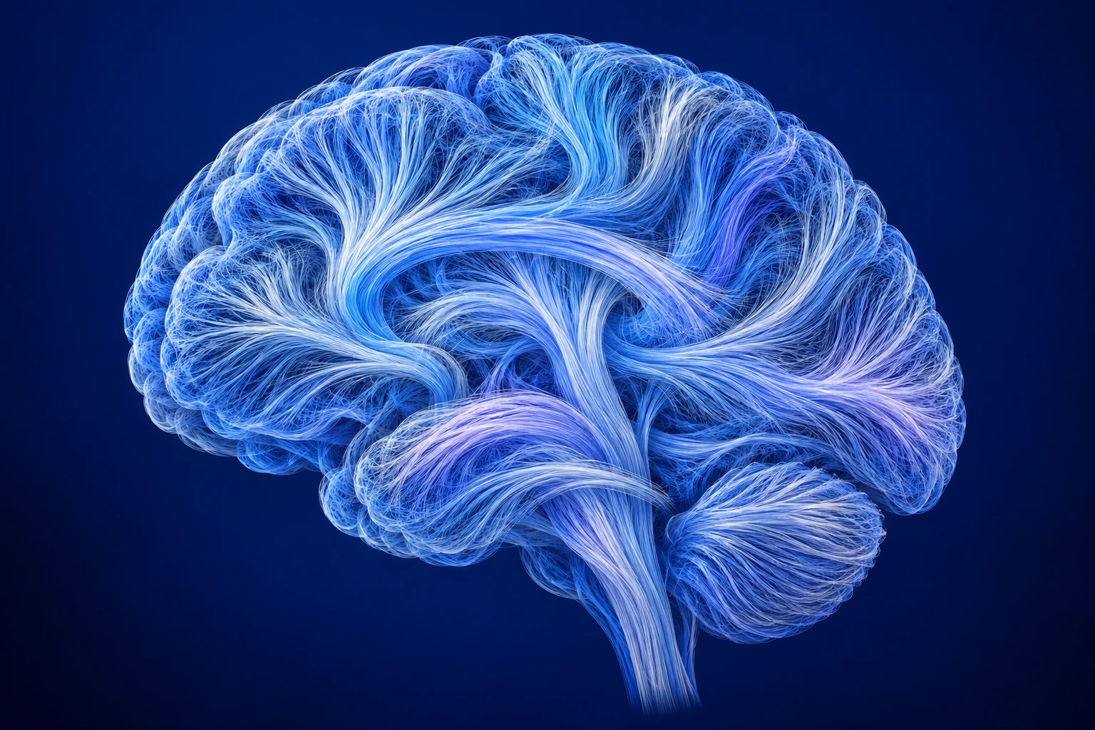 Tractography-inspired illustration of the brain, formed from fine blue and white neural pathways against deep navy.
